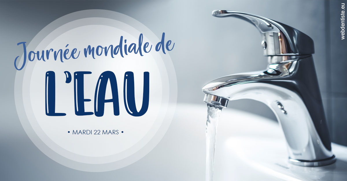 https://www.drbenoitphilippe.fr/La journée de l'eau 2