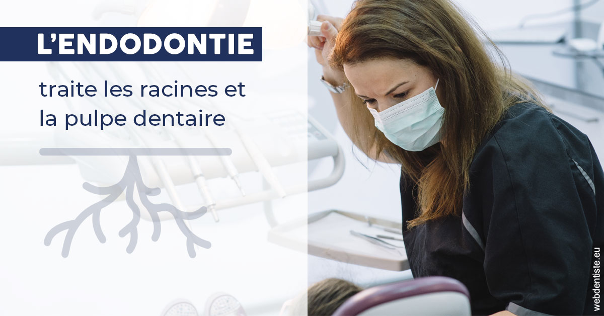 https://www.drbenoitphilippe.fr/L'endodontie 1