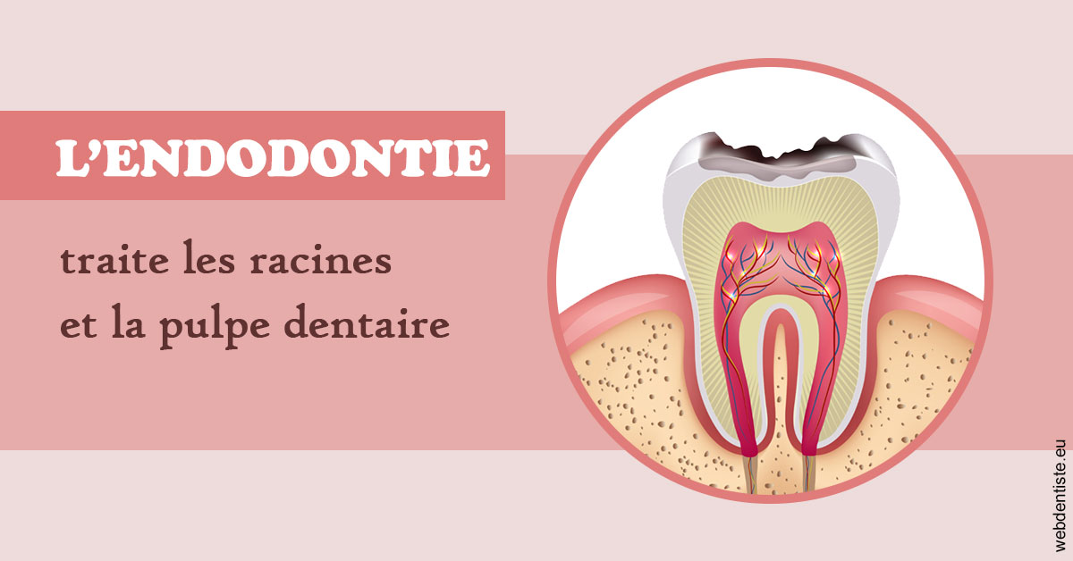 https://www.drbenoitphilippe.fr/L'endodontie 2