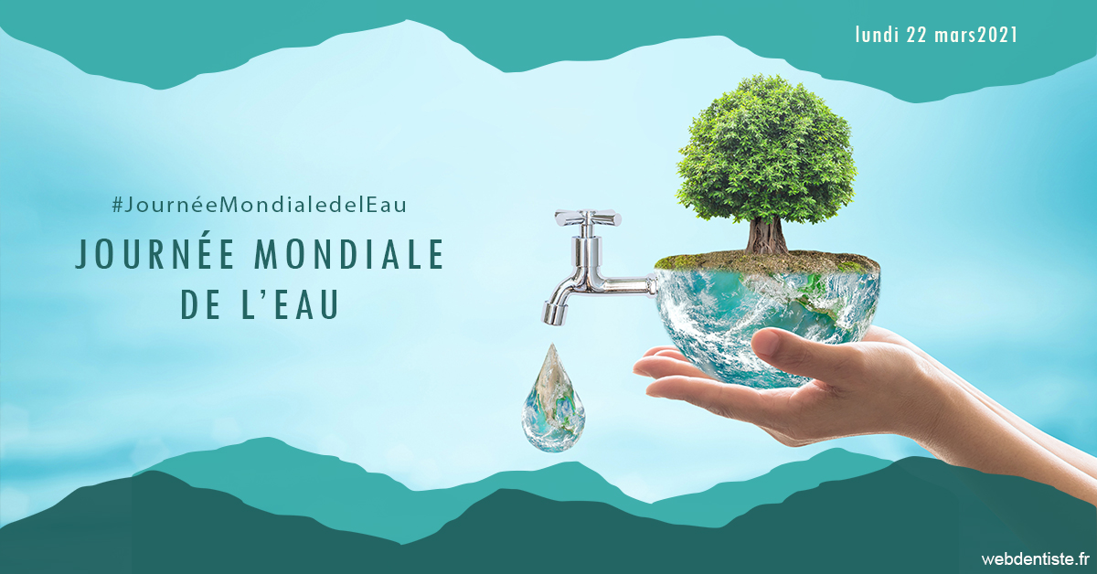 https://www.drbenoitphilippe.fr/Journée de l'eau 1