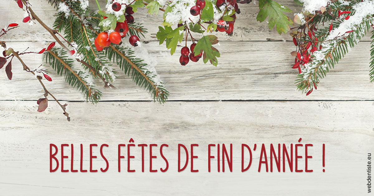 https://www.drbenoitphilippe.fr/Joyeux Noël 2