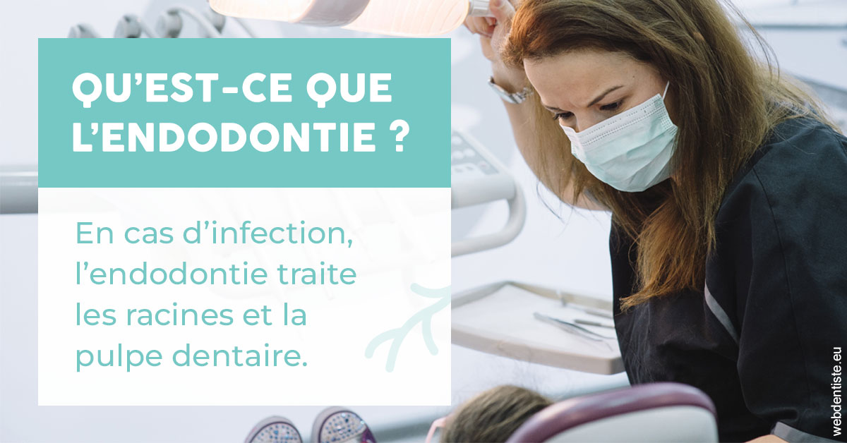 https://www.drbenoitphilippe.fr/2024 T1 - Endodontie 01