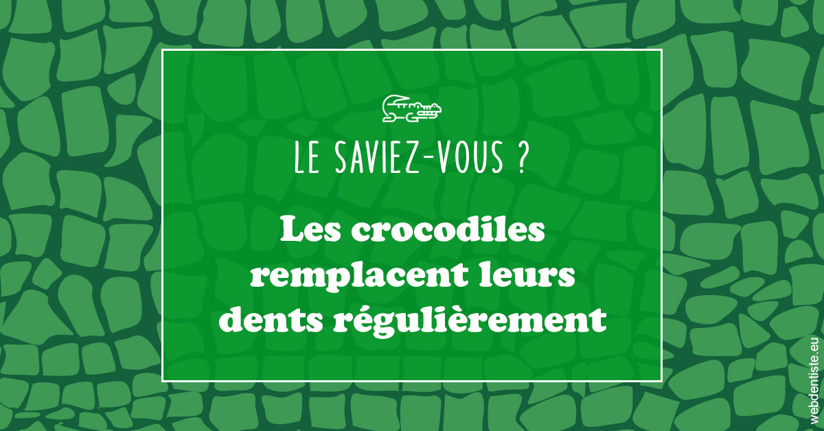 https://www.drbenoitphilippe.fr/Crocodiles 1